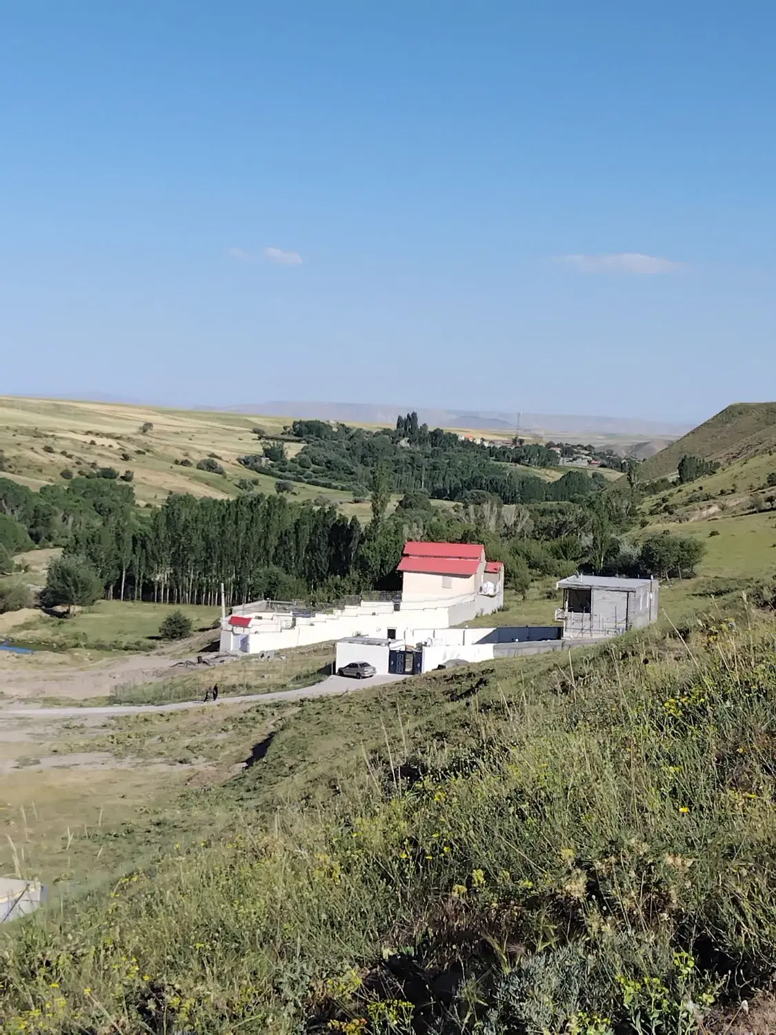 زمین باغی