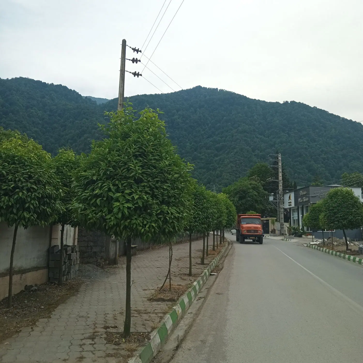 زمین ۴۹۰ متری  جنگلی شمال جنوبی سنددار