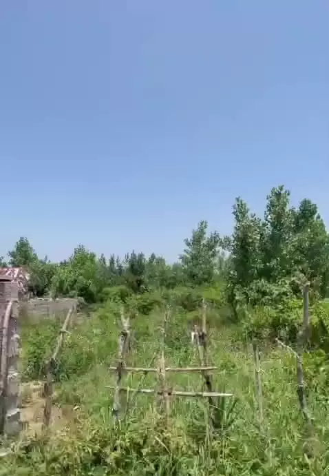 ۲۵۰ متر کلا مسکونی با کد رهگیری