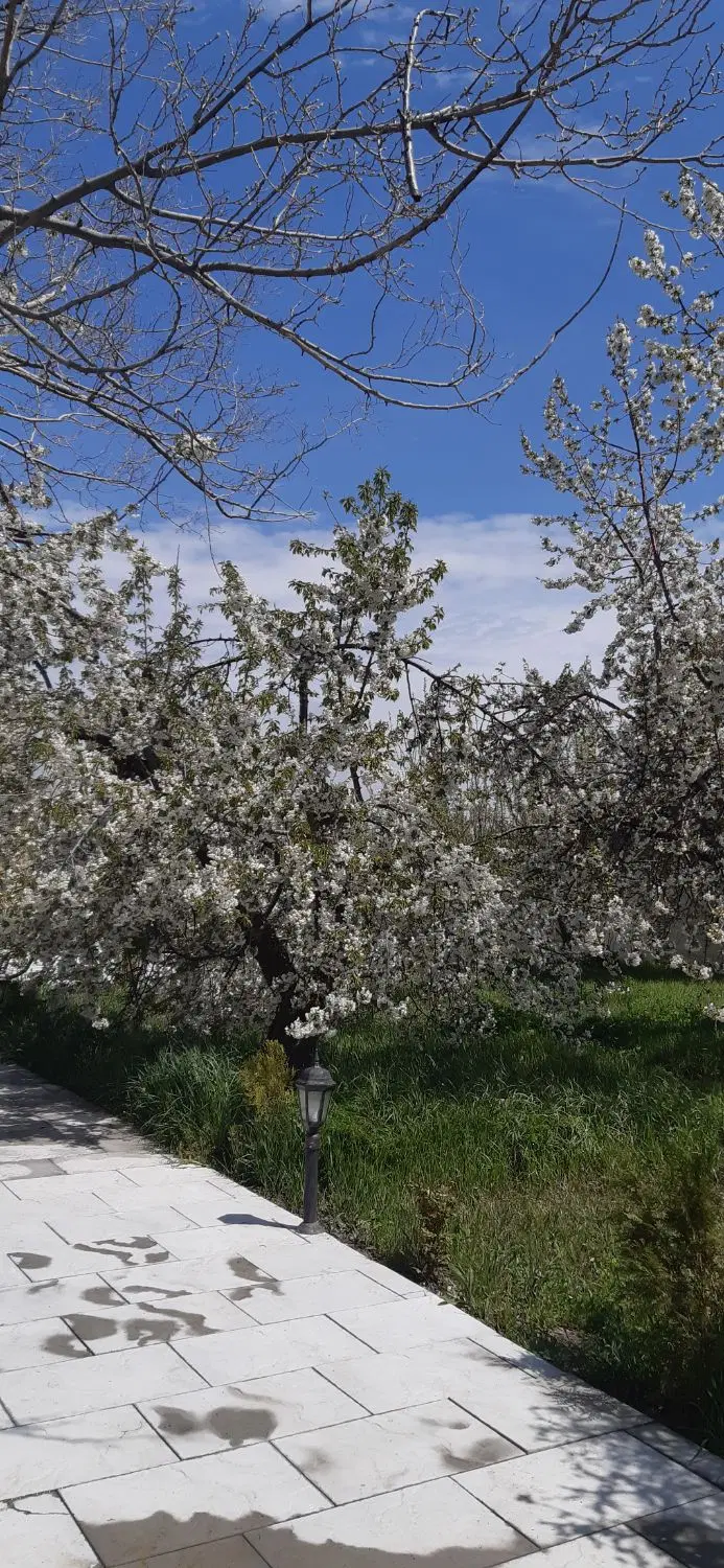 باغ ویلایی سنتو کوی میثاق