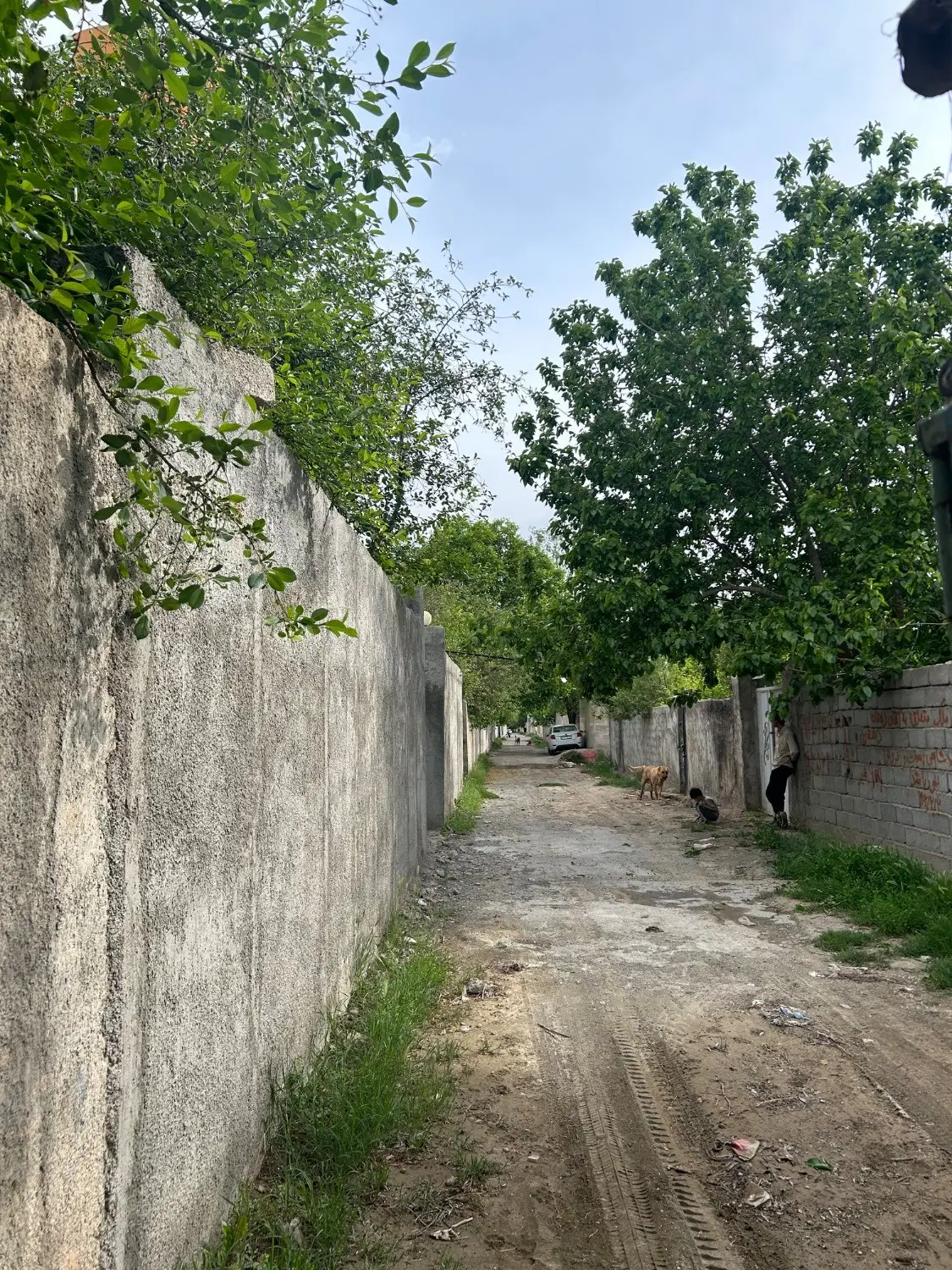فروش زمین باغی در سنقرآباد