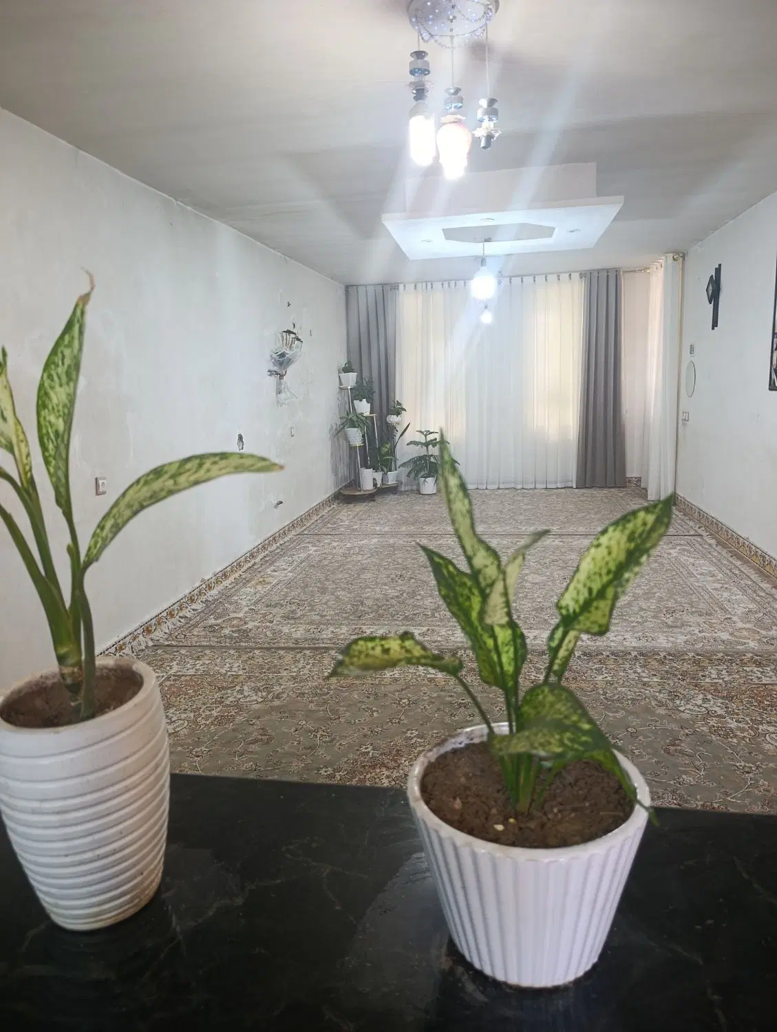 خونه مستقل اجاره ای
