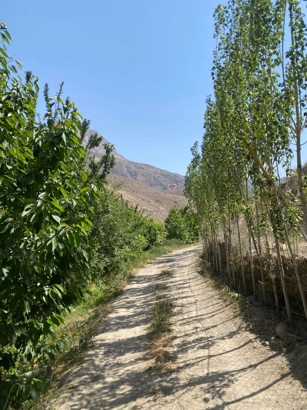 فروش ۲۰ ٪ از مجموعه فعال پرورش ماهی