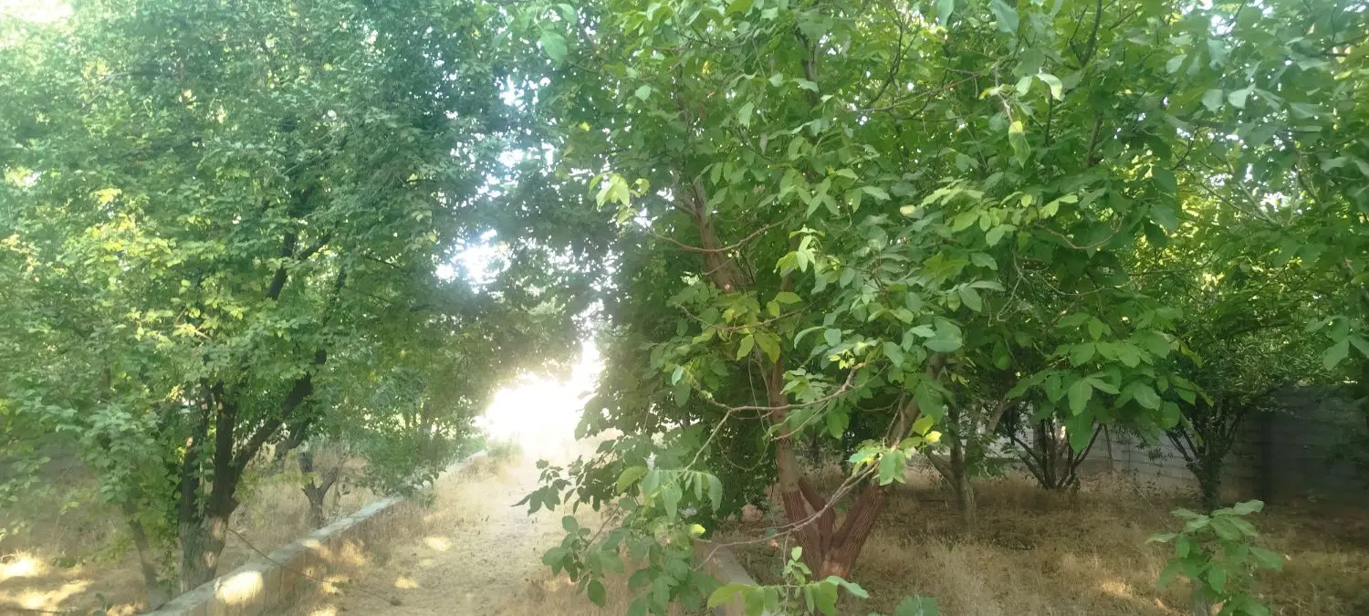 فروش باغ صحرای دوکوهک یاس