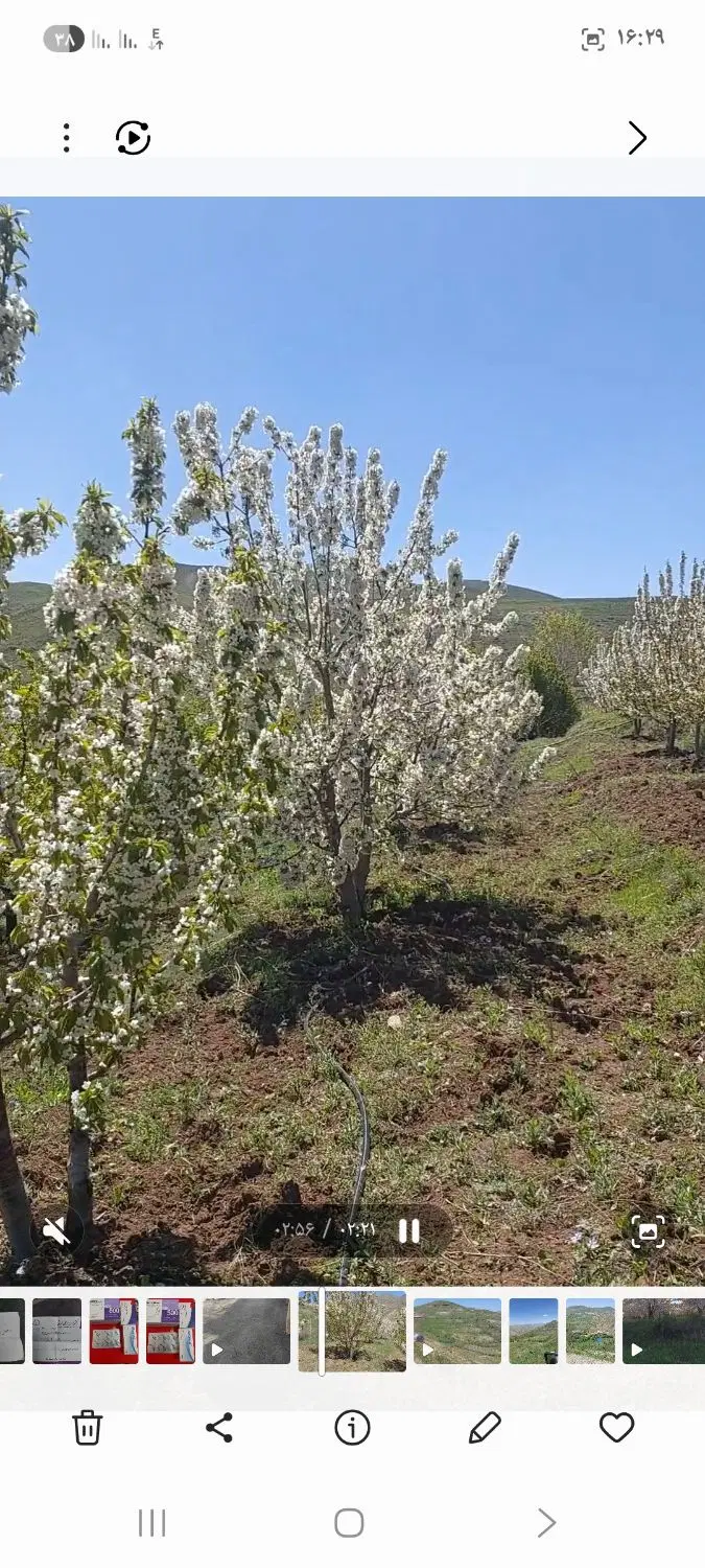 فروش باغ میوه