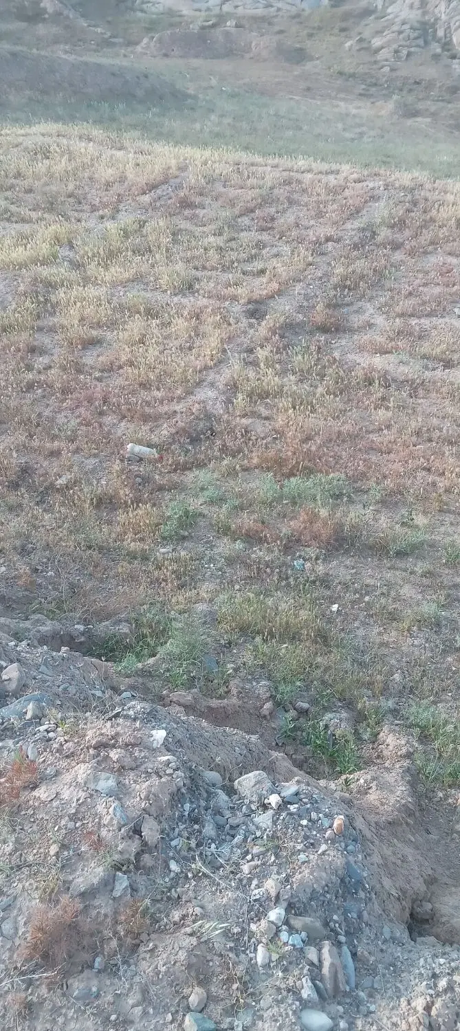 زمین ده غیبی امام رضا ۱۰ به متراژ ۵۰۰ متر