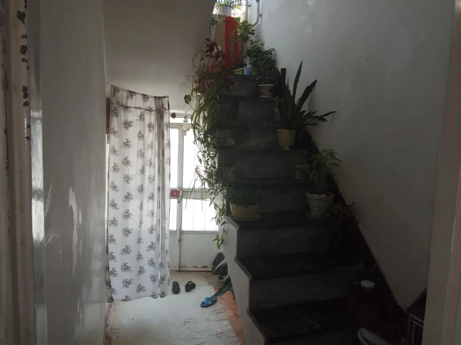 خانه مغازه دار ( ملک مسکونی - تجاری ) در آریاشهر