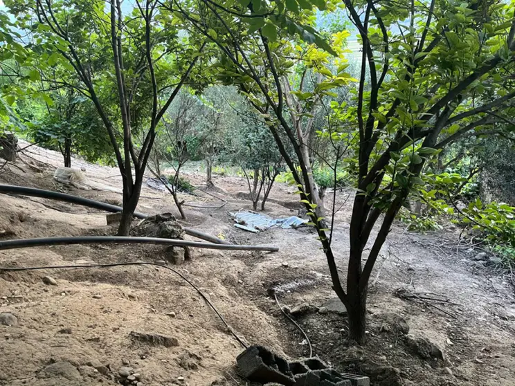 فروش زمین ۳۲۲ متری در رودبار - روستای رودآباد