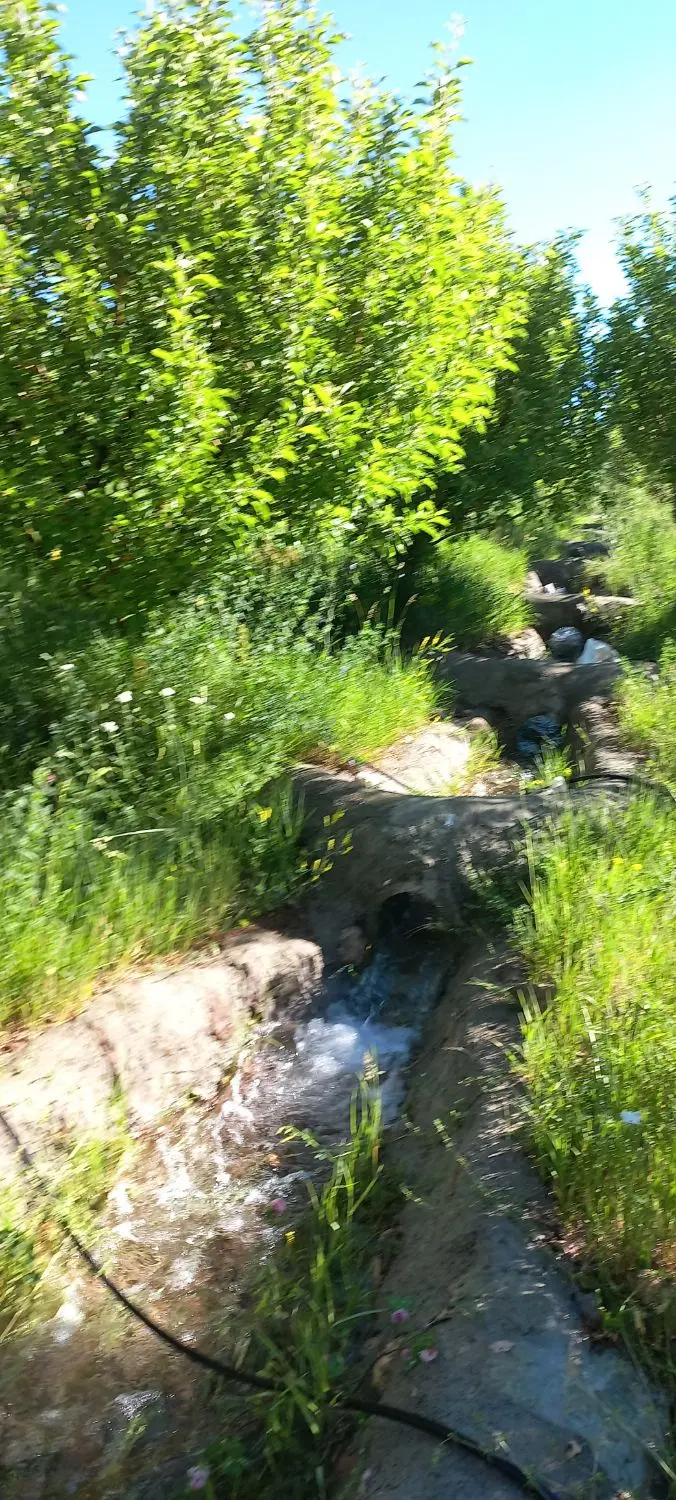 باغ در روستای زرغان منطقه خوش اب وهوای آلدار