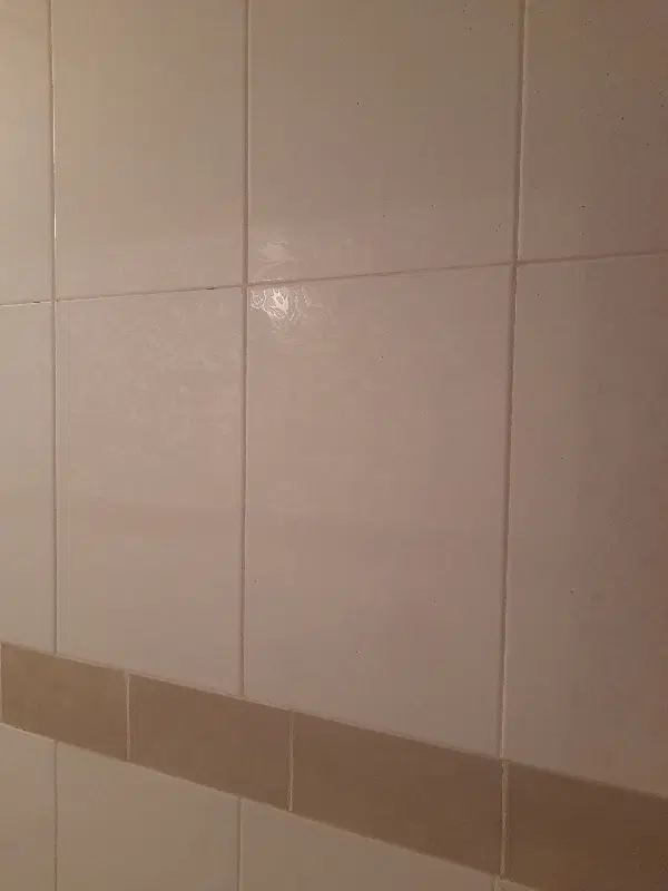 مغازه