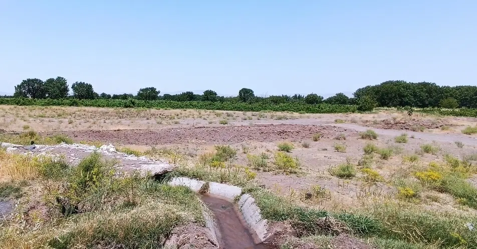 زمین کشاورزی