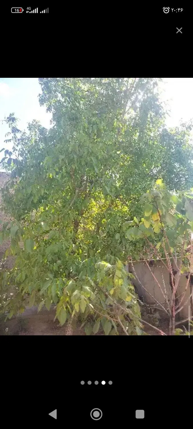 منزل ویلایی گلمکان