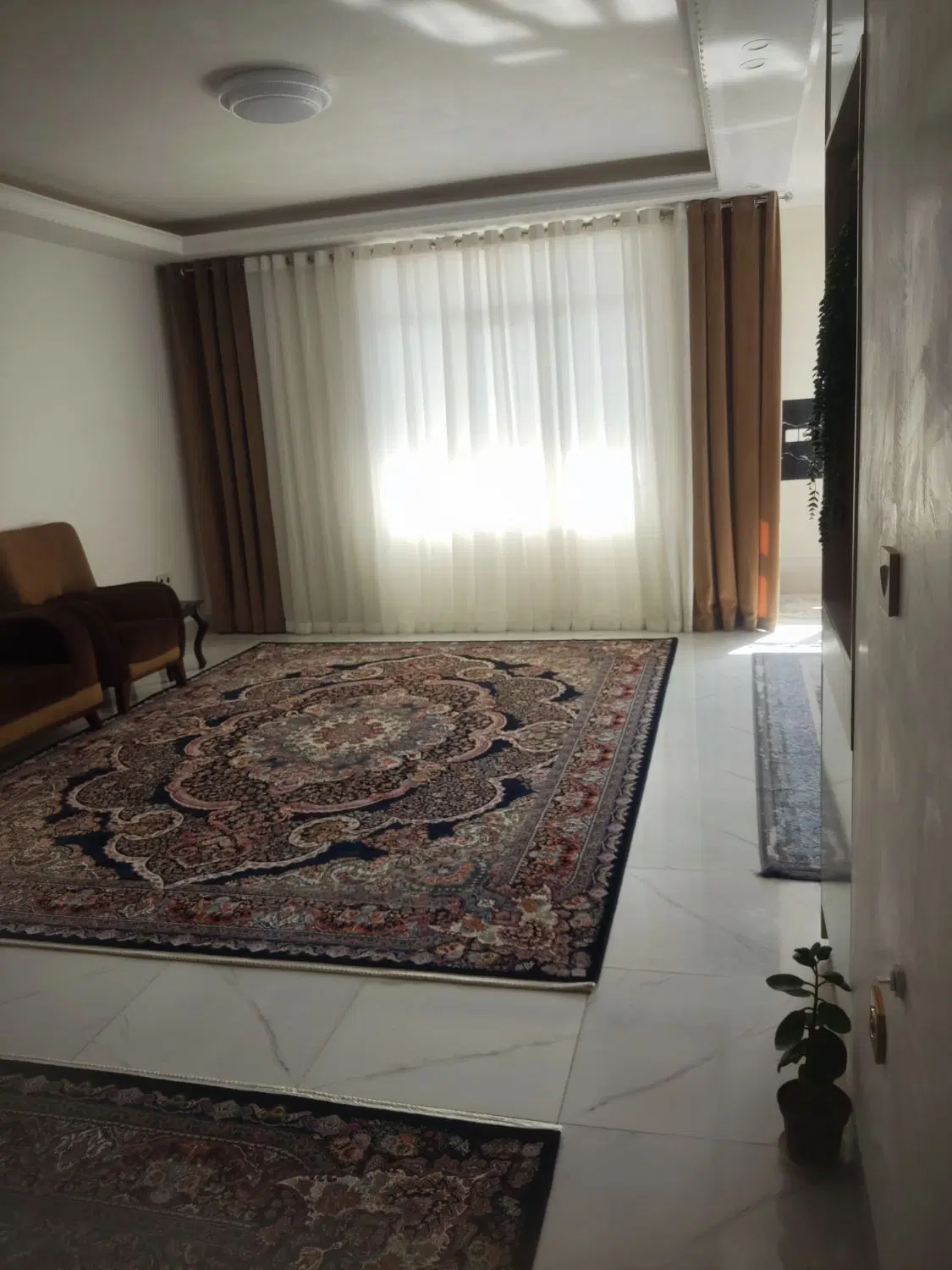 پاپی خالدار بهاران ۶