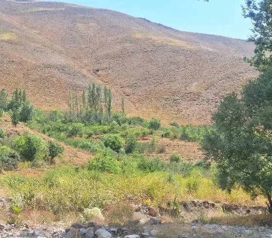 زمین‌های  سند دار  فوری  فوری فوری  فروش