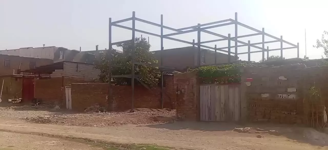 زمین  پاپی خالدار