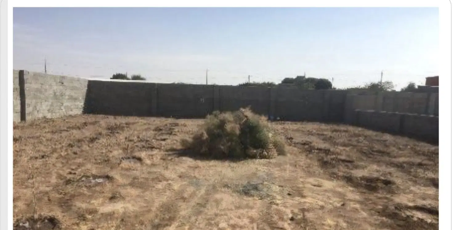 اجاره دیواری کشی 1500 متری