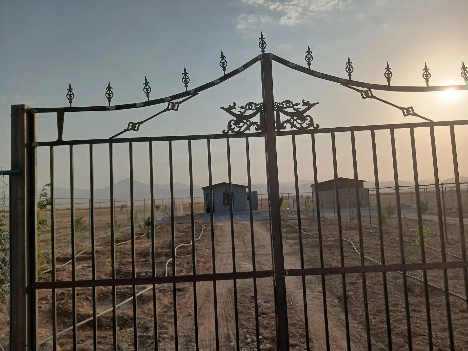 زمین باغی