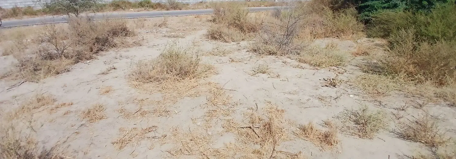 دوقطع زمین فروشی ۴۵۰۰زراعی و۳۰۰۰ متردیگر تجاری