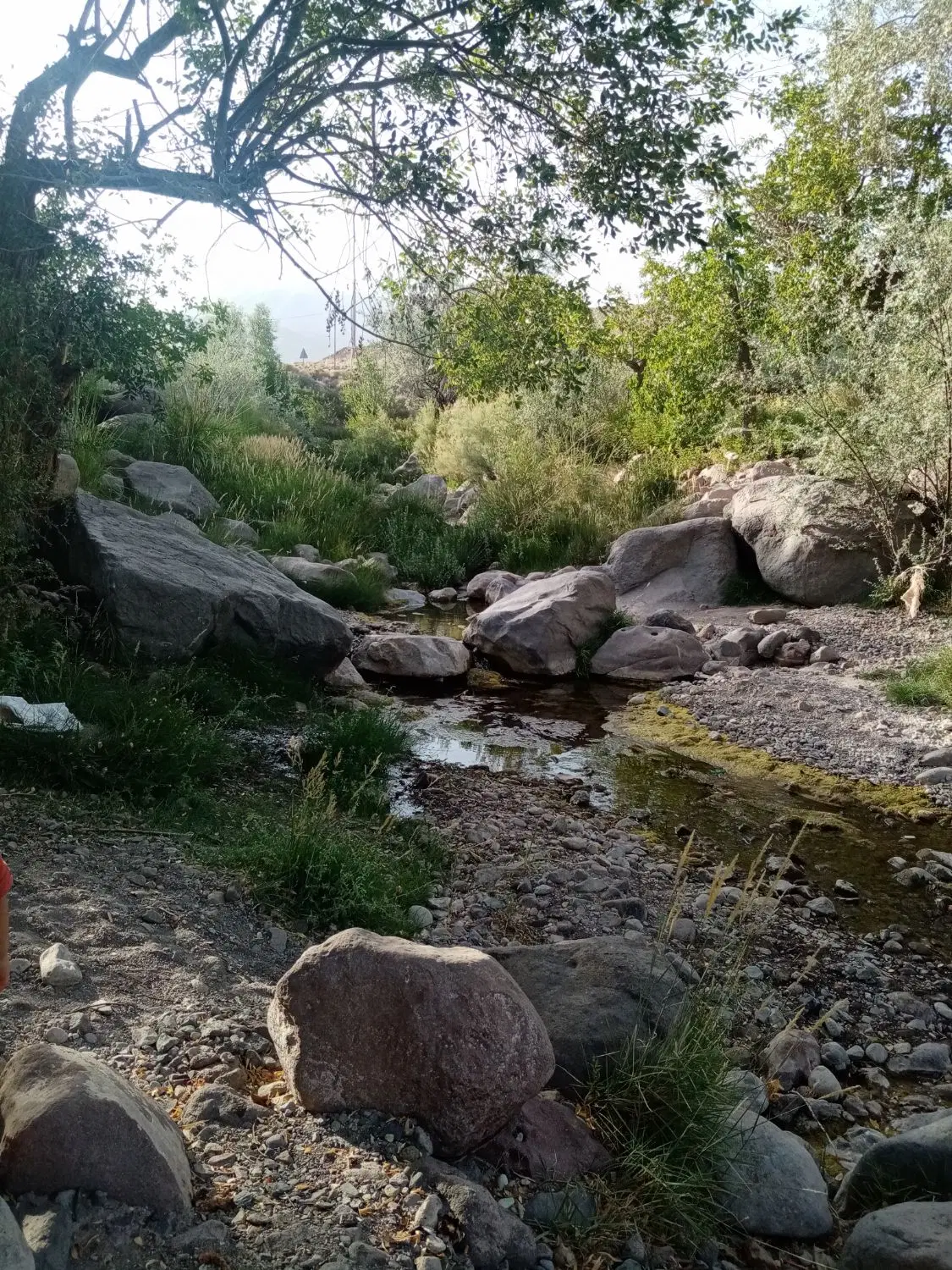 زمین رضاآباد
