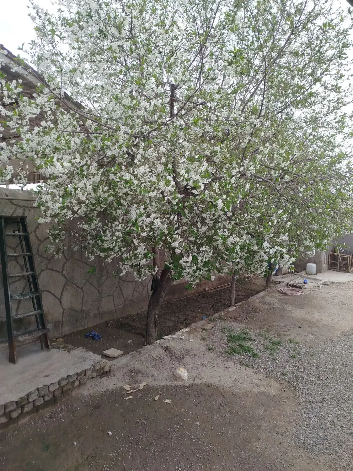 ویلایی350مترزمین 110متربنا  مشهدروستای ریحان