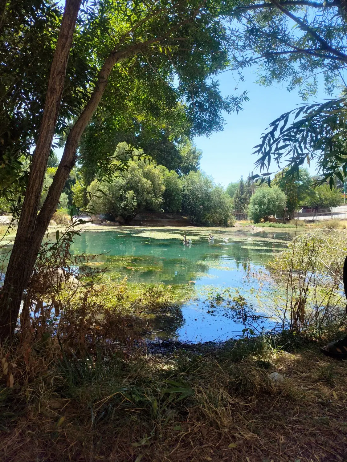 خرید یا معاوضه
