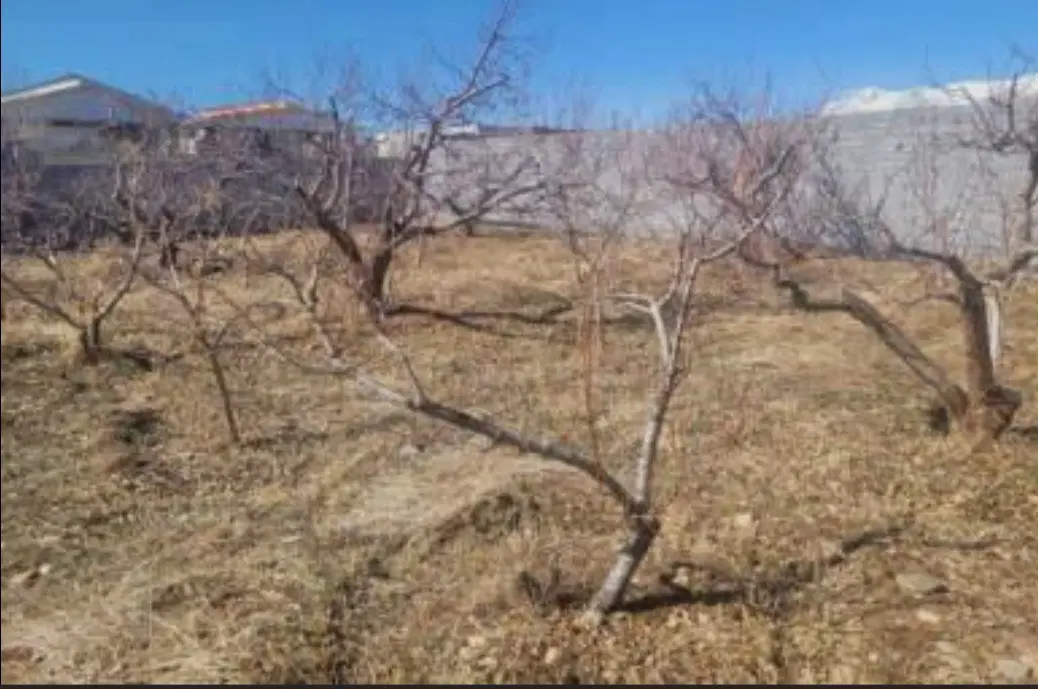 زمین چناران رودهن دماوند