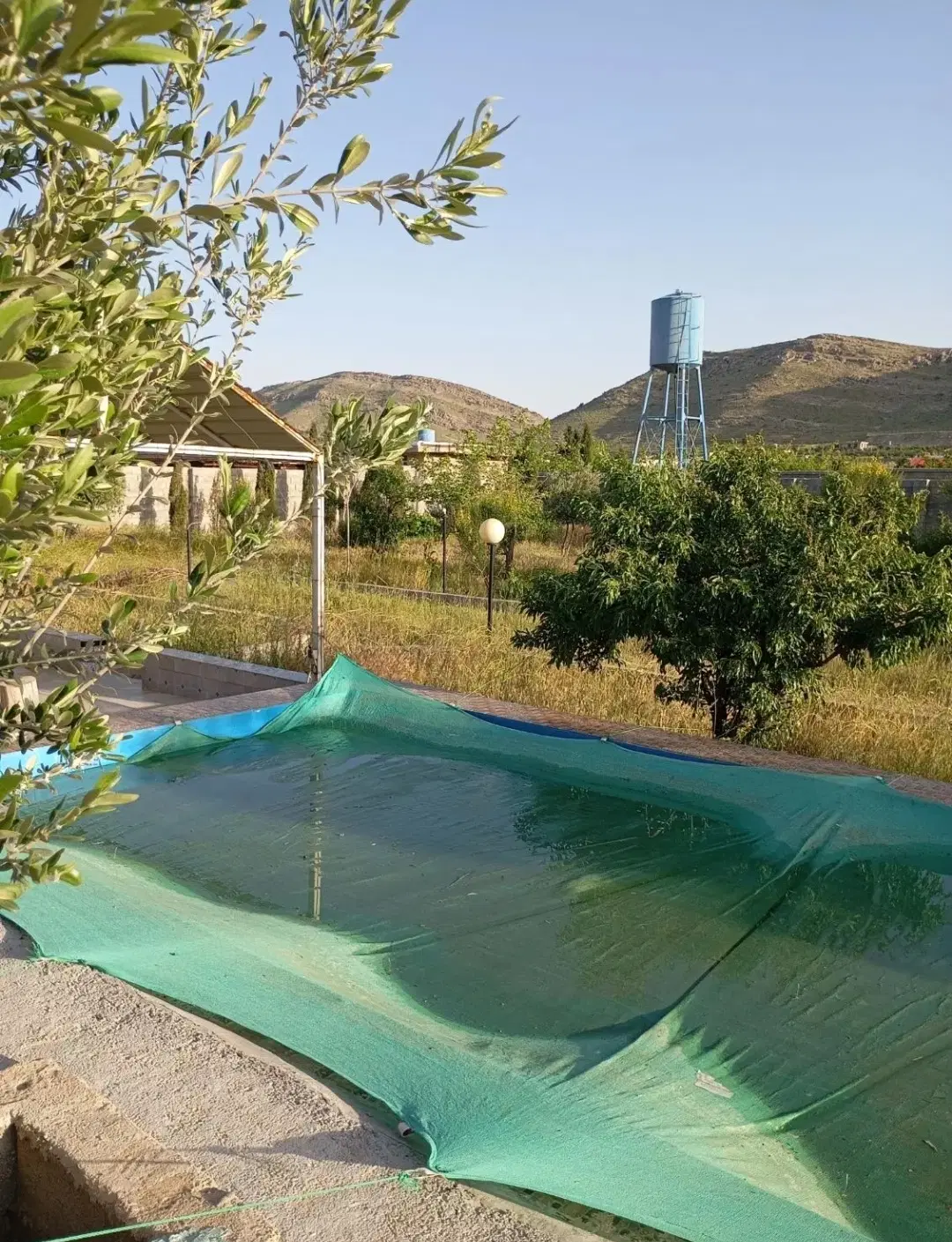 فروش زمین جهت باغ