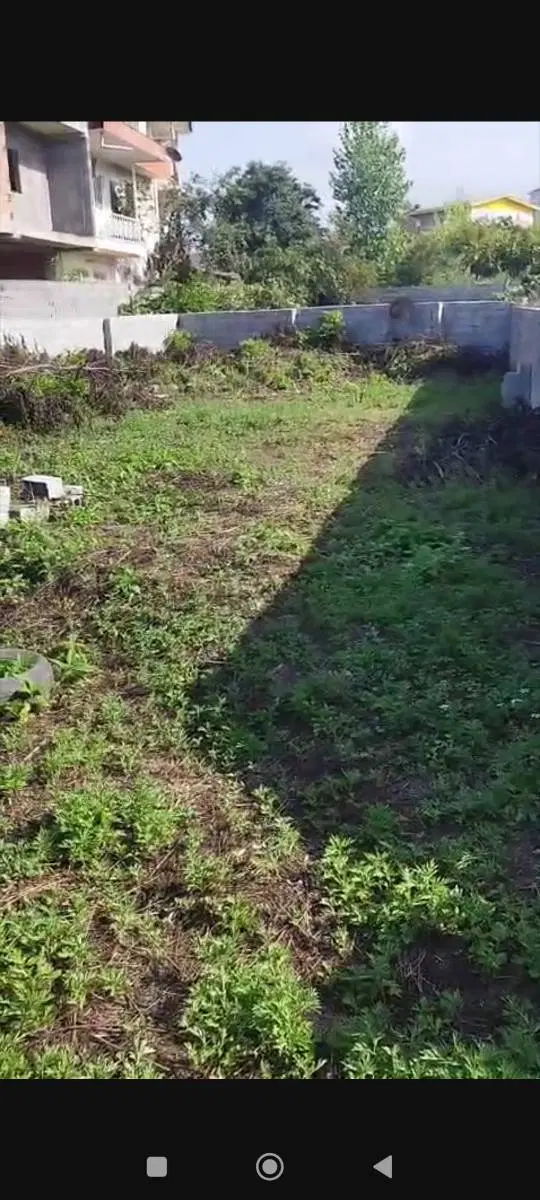 زمین ۲۱۵ متری چالوس سنددار