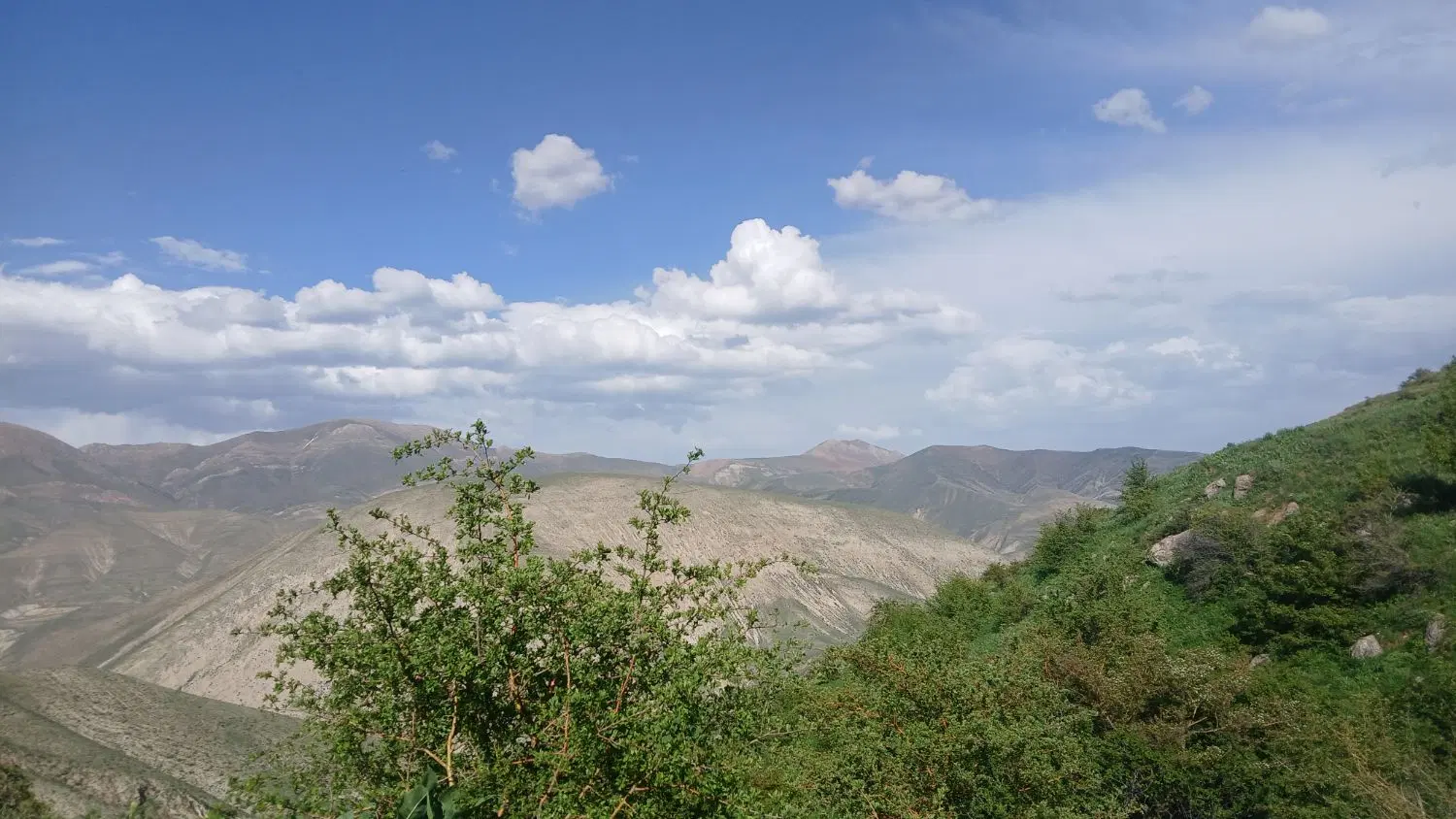 زمین فروشی