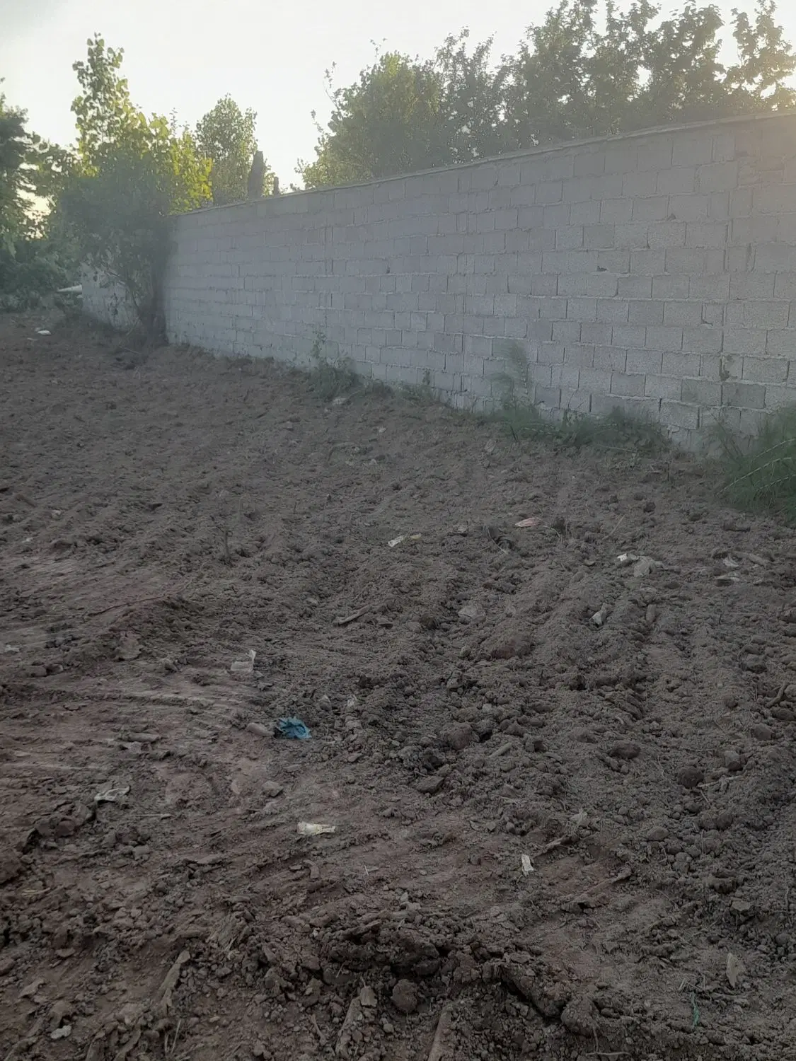 ۲۵۰مترزمین باغی روستایی،رشت،دارسازی
