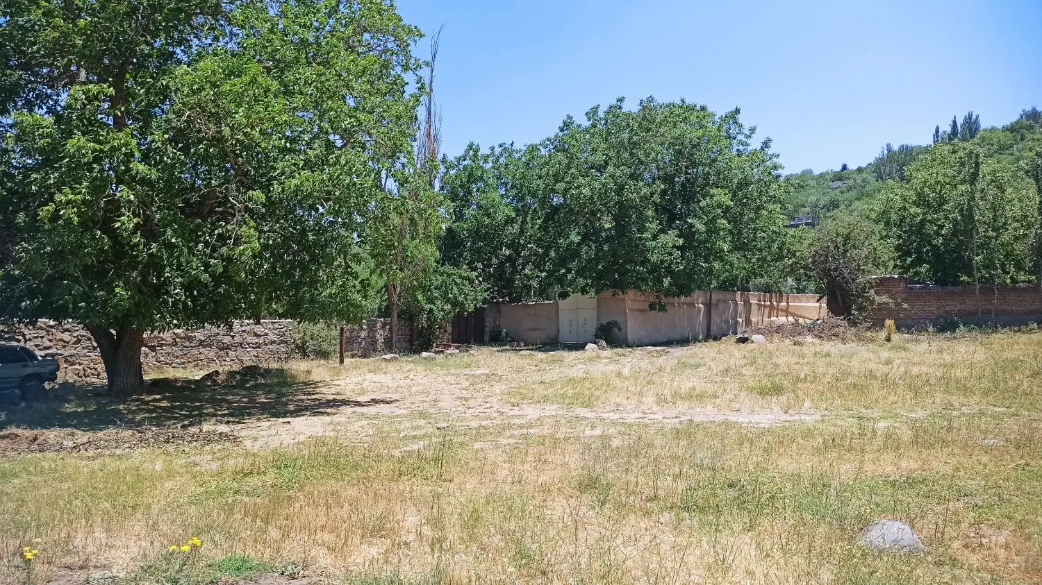زمین باغ سند تک برگ عباس آباد