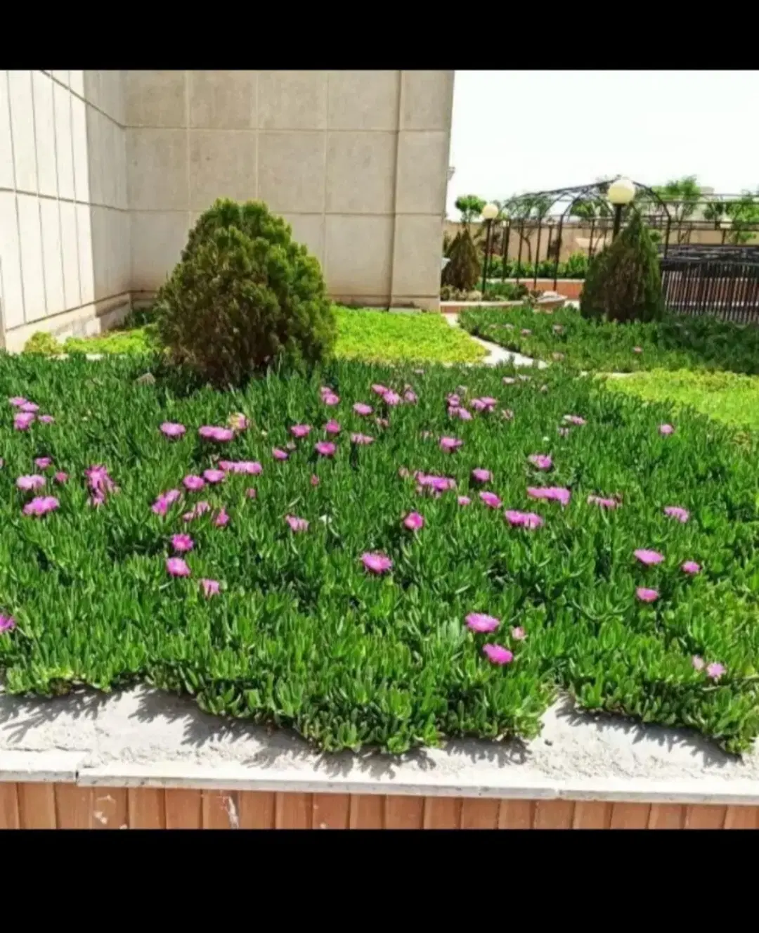 زمین ۱۶۲ متری مسکونی، آماده ساخت،زیرقیمت در واوان