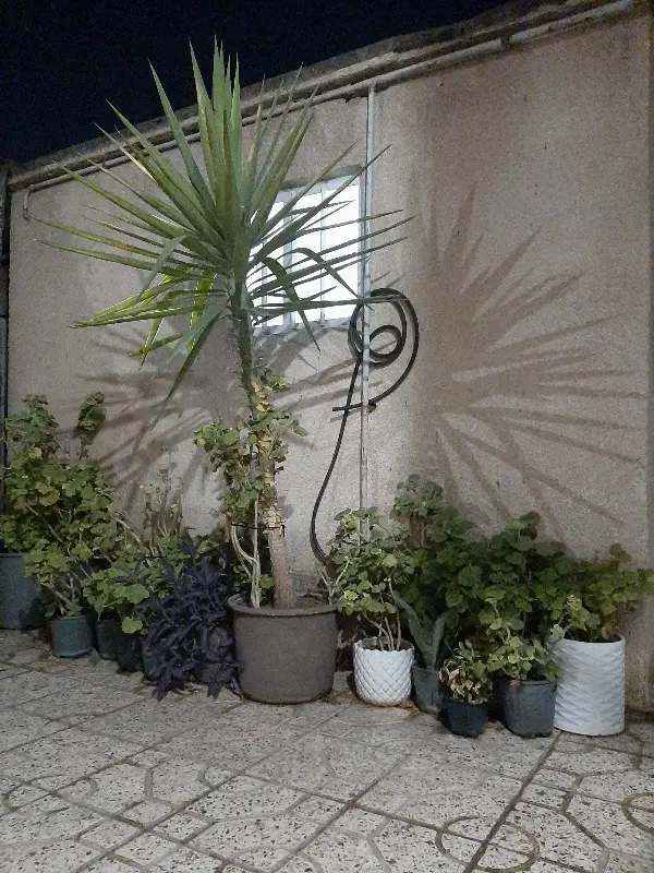 ویلایی ۹۶ متری
