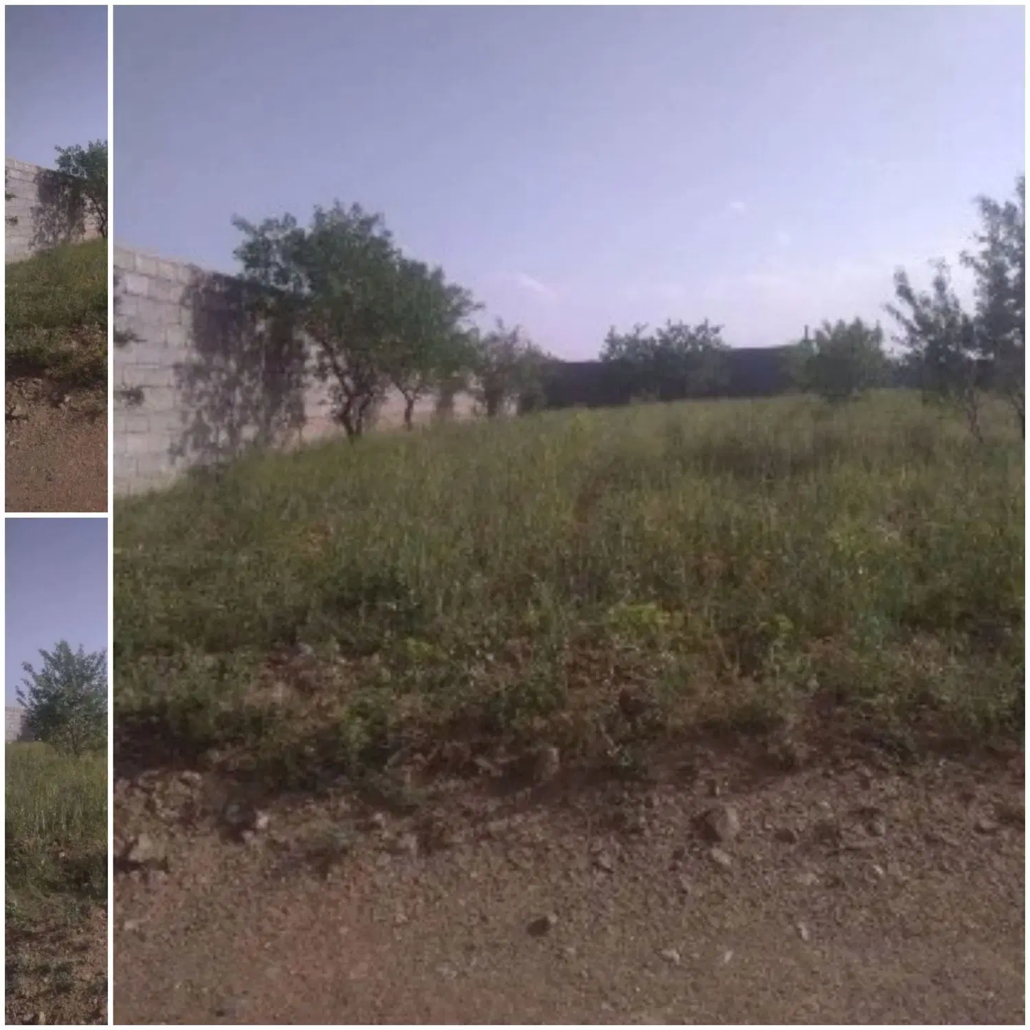 زمین ویلایی