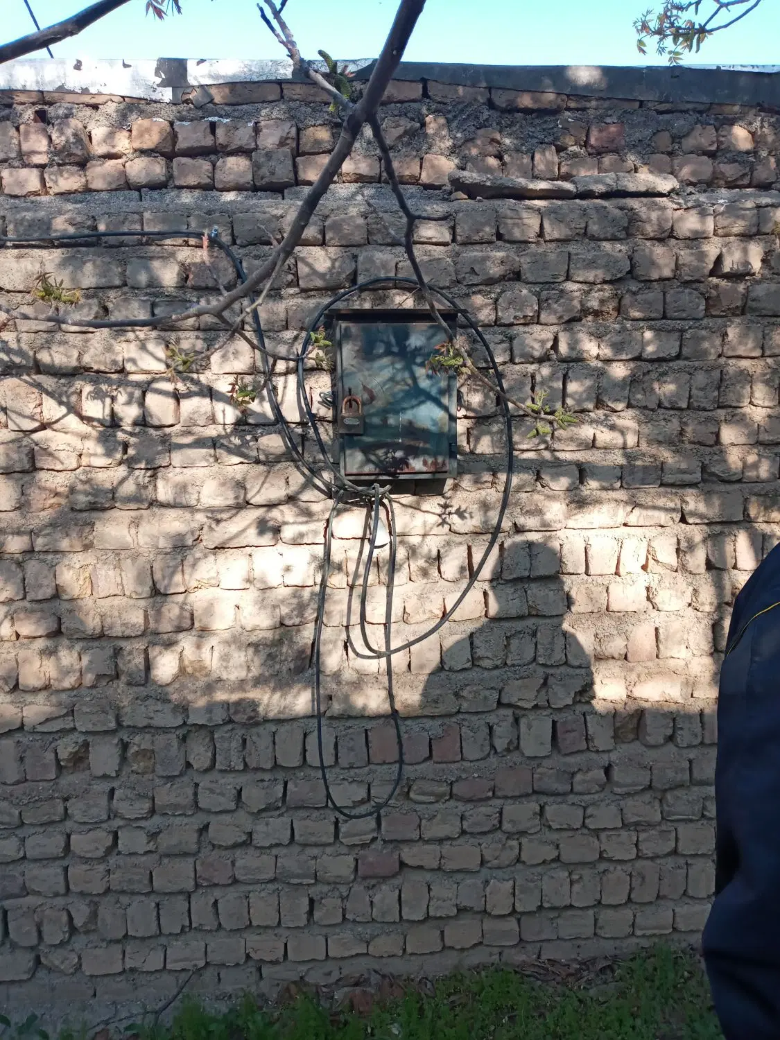 زمین قلفتی