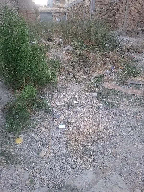 زمین سند ۶ دانگ