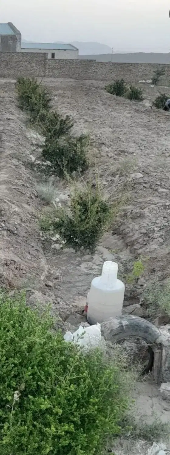زمین کشاورزی دشت بجد