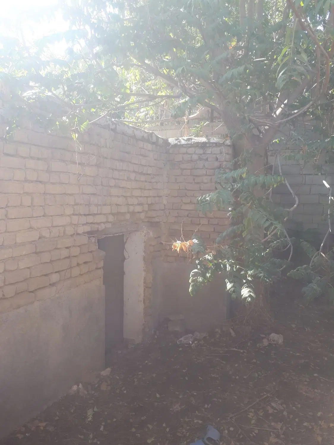 زمین مسکونی هاشمی نژاد شانزده