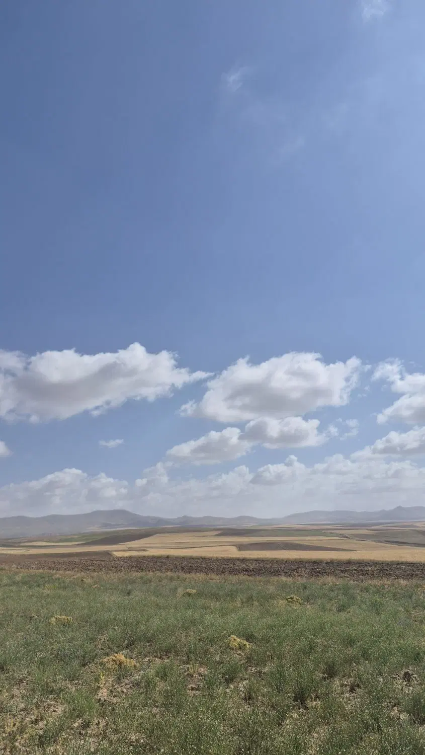 زمین