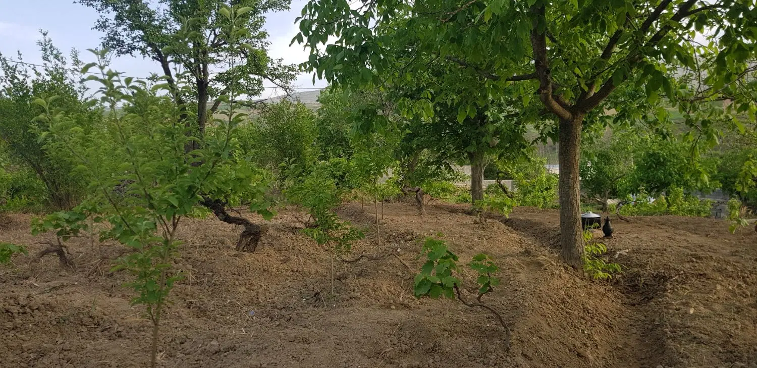 باغ ۱۴۰۰ متر سند دار ۷۰۰ میلیون نقد مابقی اقساطی