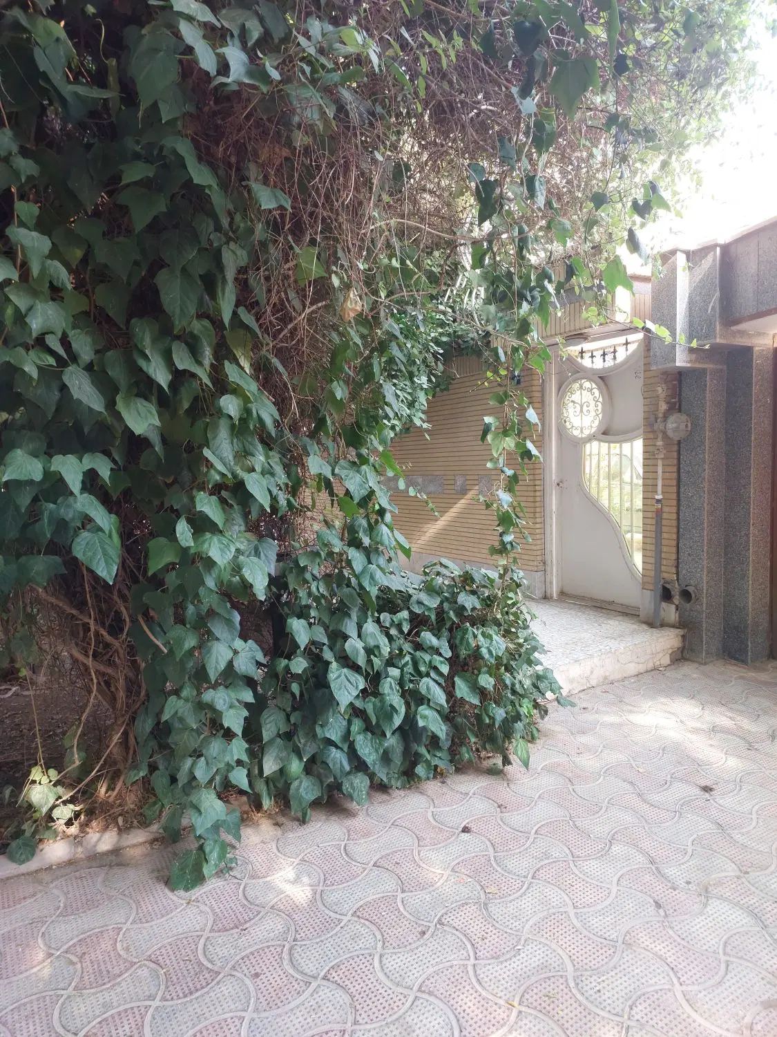 اجاره واحد ۶۵ متری