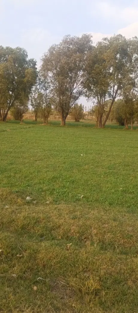 زمین آبی در جاده سرعین