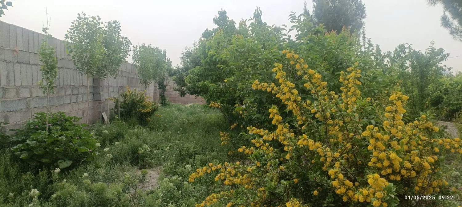 زمین باغی