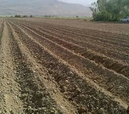 زمین کشاورزی ابی