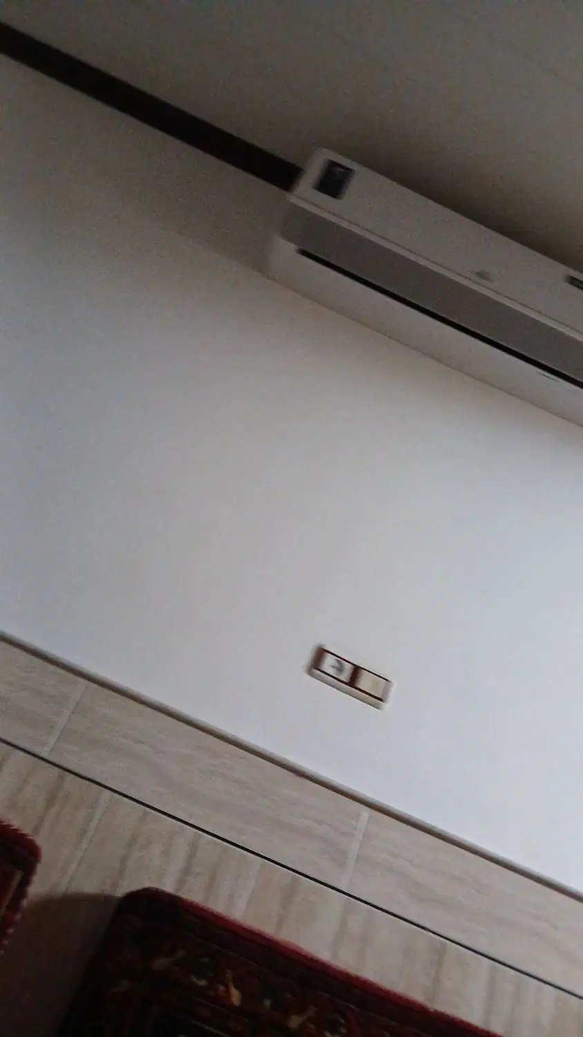 همخانه پسر