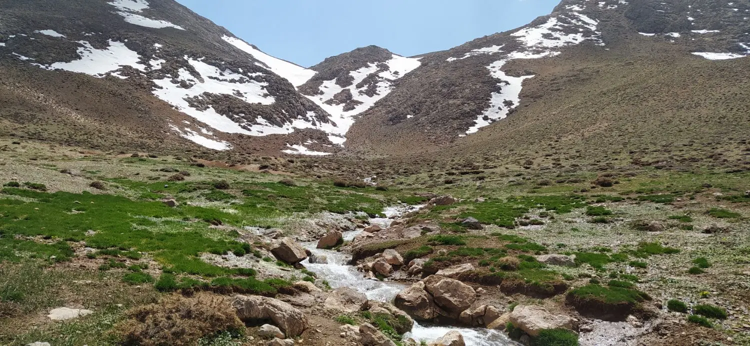 زمین باغی