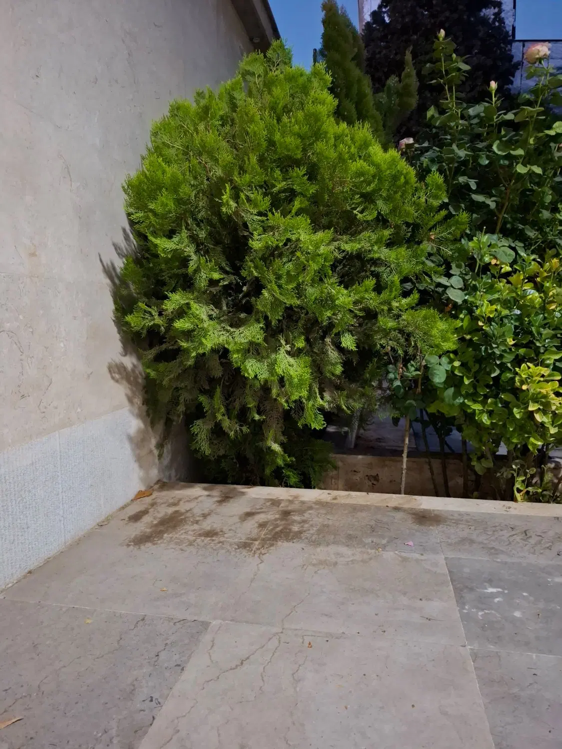 فروش زمین