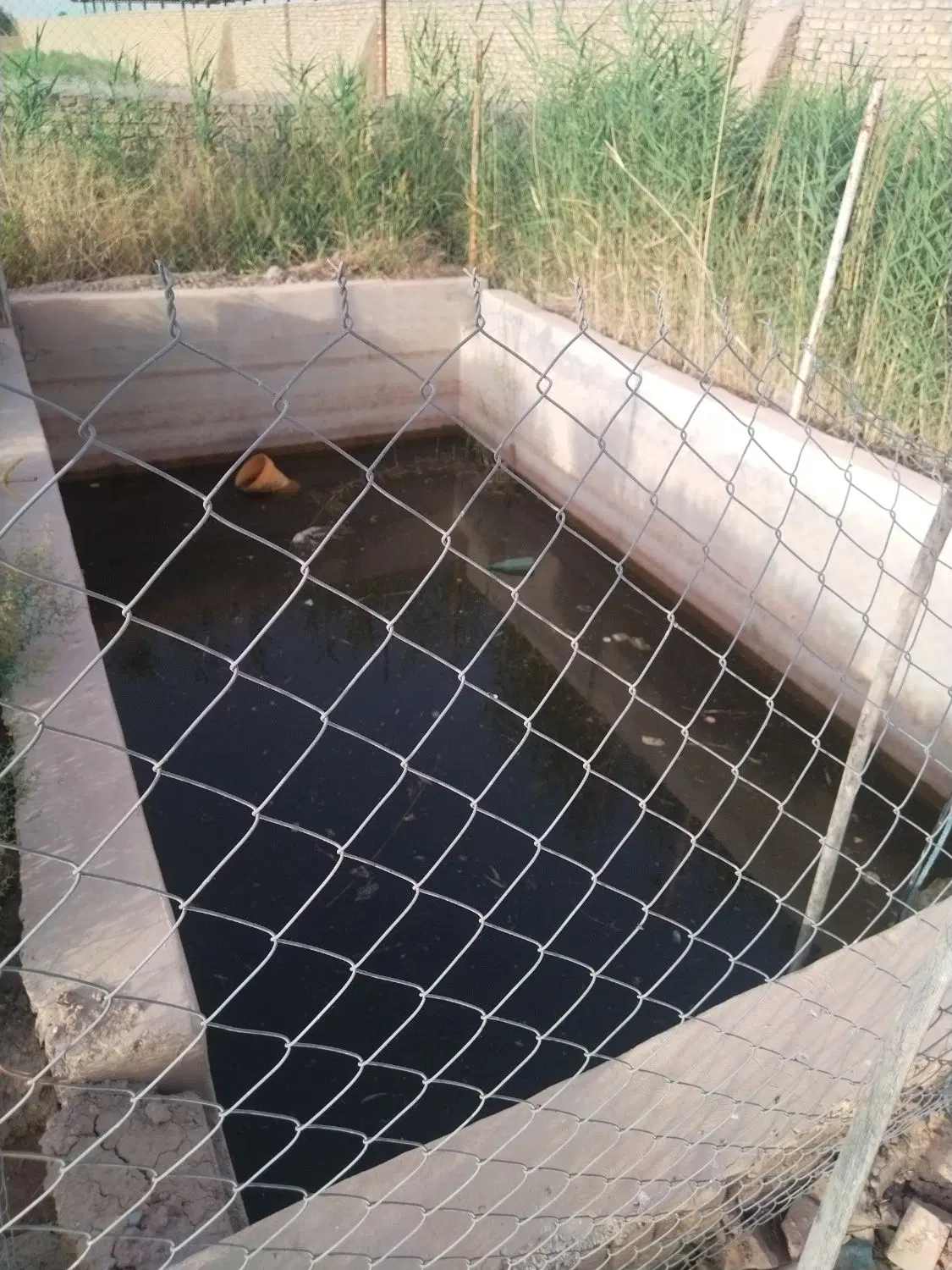 باغچه 4 دیواری