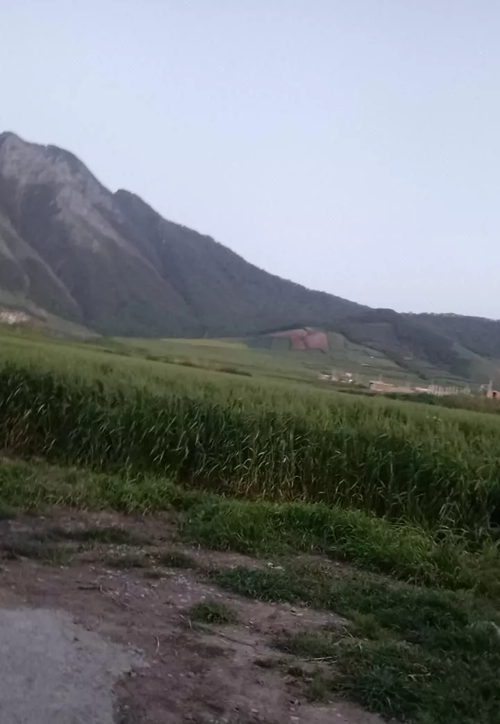 اجاره سوئیت در روستای خمبر آباد