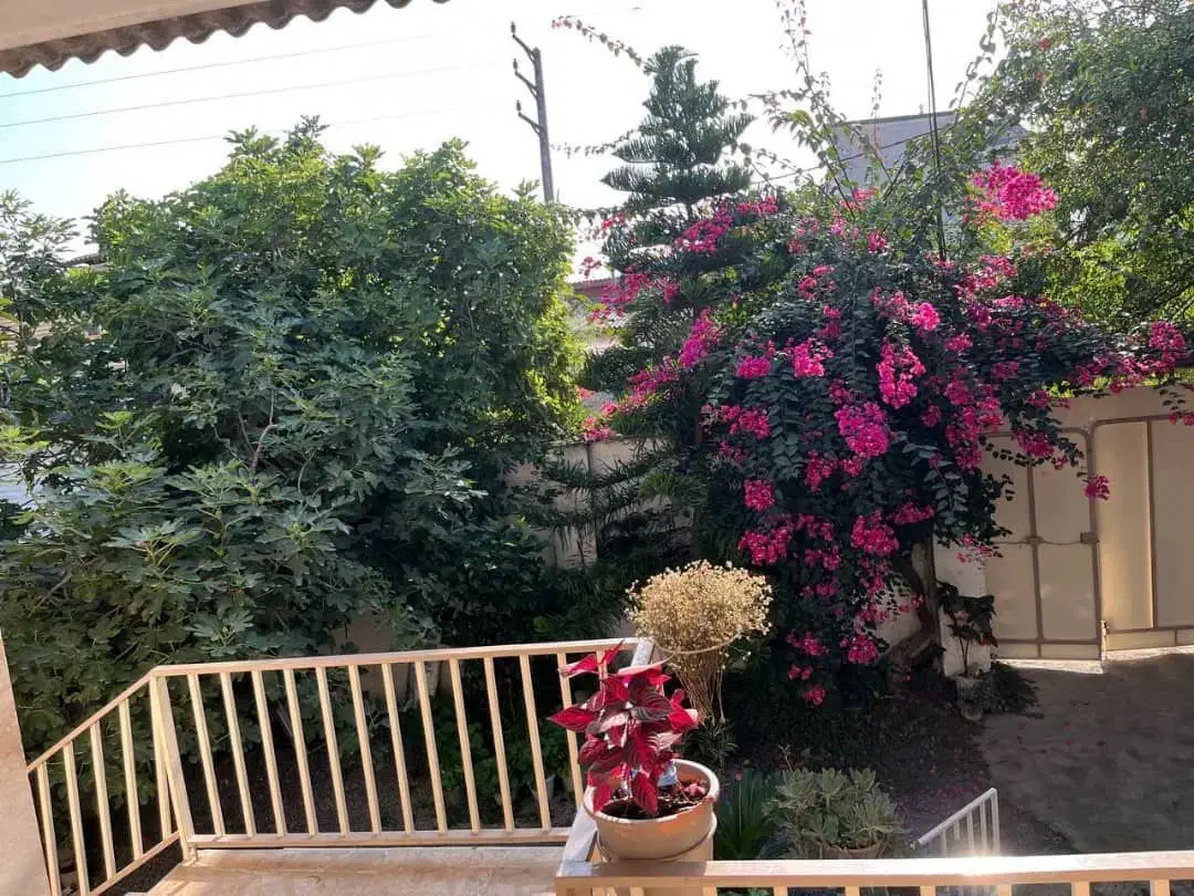 باغ ویلایی